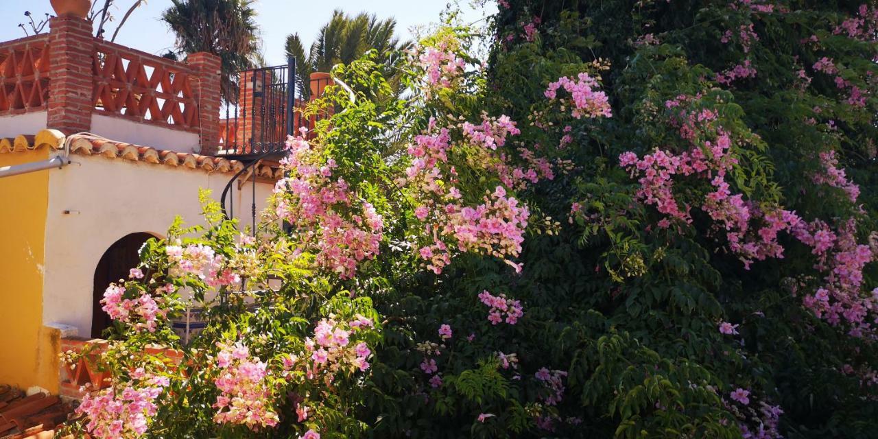 Ferienwohnung Costa Tropical Oasis Motril Exterior foto